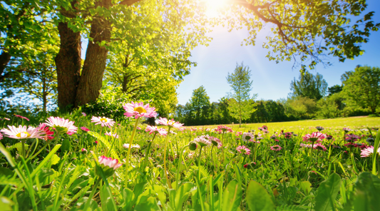How to Use Your Hot Tub Efficiently During Spring and Summer Months