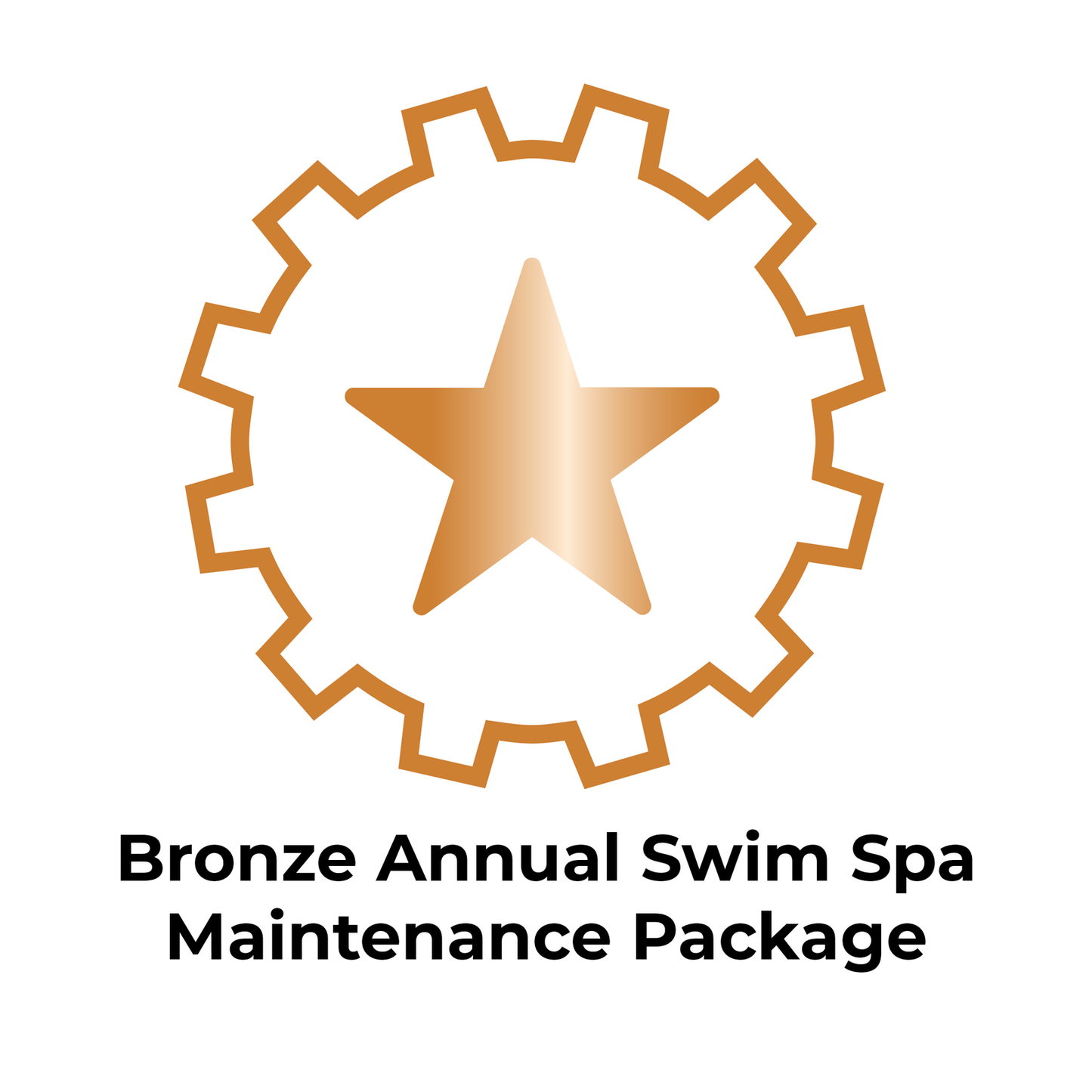 Service Maintenance